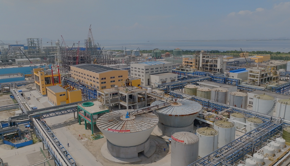 福建東南電化股份有限公司年產(chǎn)30萬噸燒堿項(xiàng)目