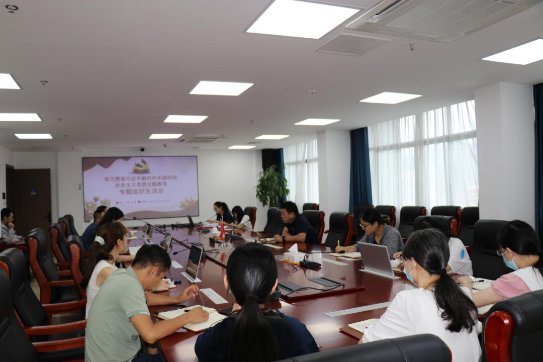 主題教育丨石化設計院各黨支部召開主題教育專題組織生活會(圖4) 主題教育丨石化設計院各黨支部召開主題教育專題組織生活會(圖4)