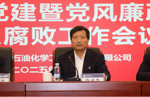 石化設(shè)計(jì)院召開2025年黨建暨黨風(fēng)廉政建設(shè)和反腐敗工作會(huì)議(圖2)